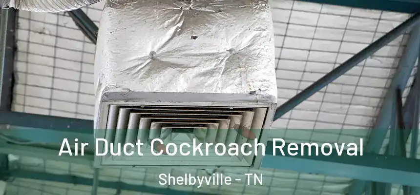 Air Duct Cockroach Removal Shelbyville - TN