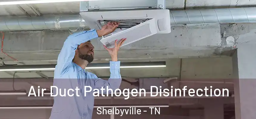  Air Duct Pathogen Disinfection Shelbyville - TN