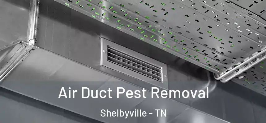  Air Duct Pest Removal Shelbyville - TN