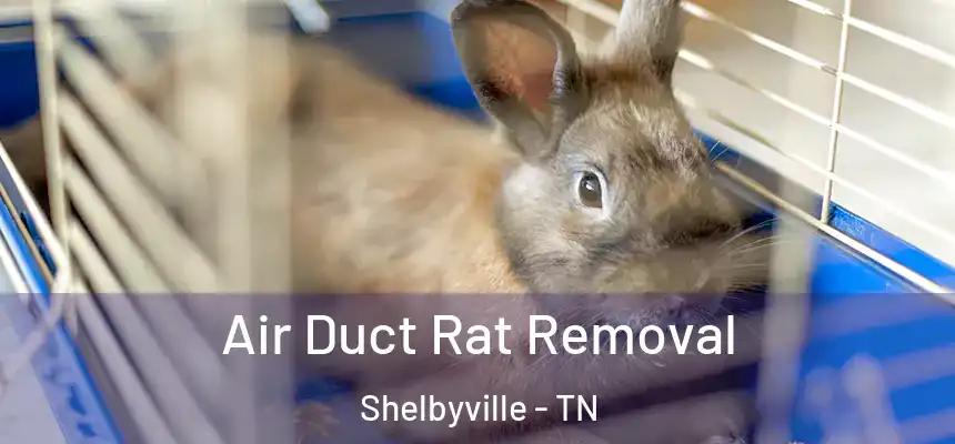 Air Duct Rat Removal Shelbyville - TN
