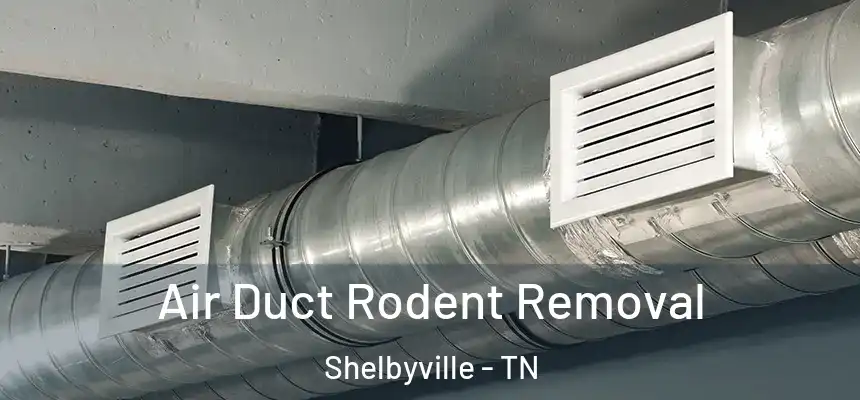  Air Duct Rodent Removal Shelbyville - TN