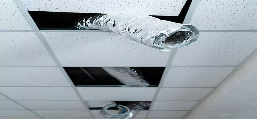 Our Air Duct Pet Hair Removal Services in Shelbyville, TN