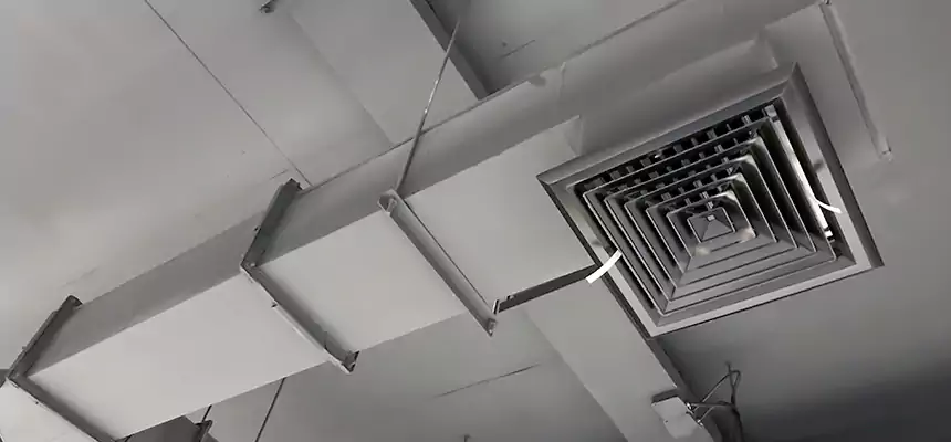 Our Rodent Droppings In Vents Services in Shelbyville, TN