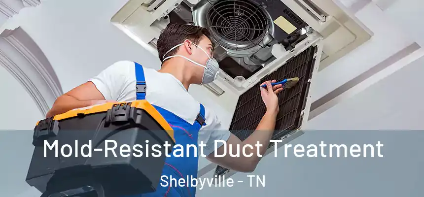 Mold-Resistant Duct Treatment Shelbyville - TN