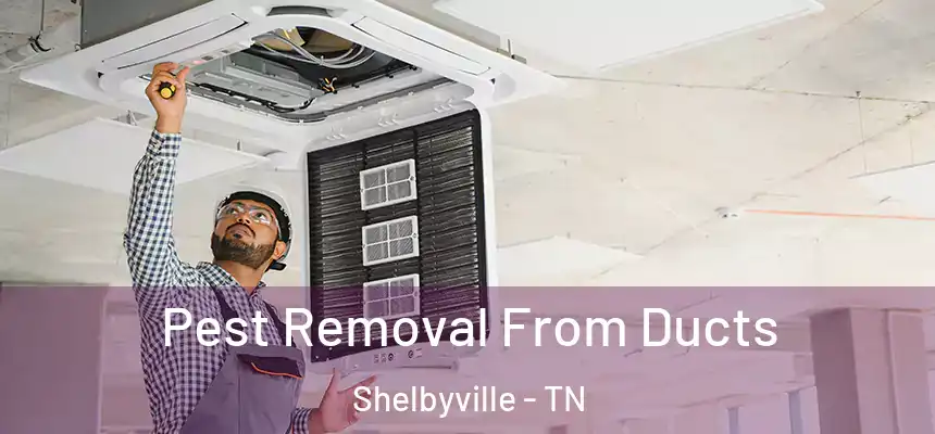 Pest Removal From Ducts Shelbyville - TN