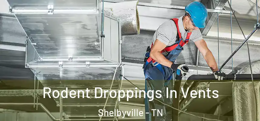  Rodent Droppings In Vents Shelbyville - TN