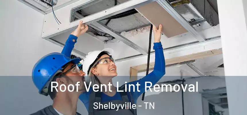  Roof Vent Lint Removal Shelbyville - TN