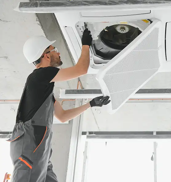 About Air Duct Rodent Removal in Shelbyville, TN