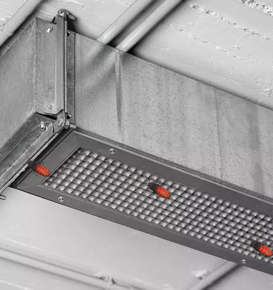 Affordable Insect Removal from Air Ducts in Shelbyville, TN