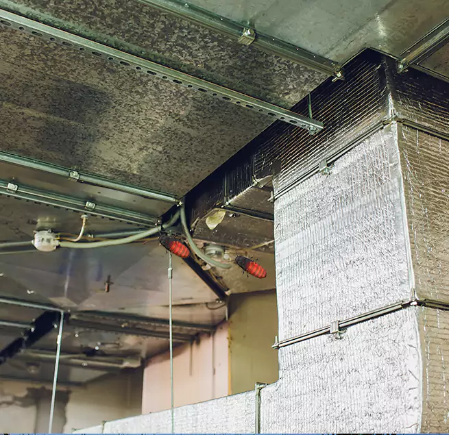 Why Homeowners & Businesses Trust Us Shelbyville, TN?